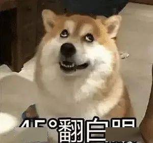 阔腿裤输惨了今夏凉凉裤才是真的火