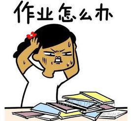 20岁职高毕业两年没上学上班几个月想读书