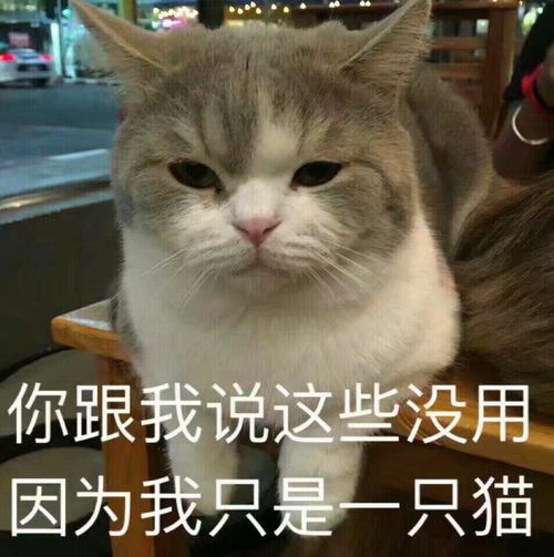 你见过最萌的图片是什么样的