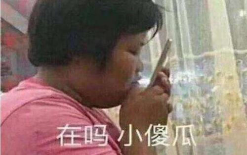 中年妇女抛家弃子,带着网友殴打丈夫,只想做精致的猪猪女孩