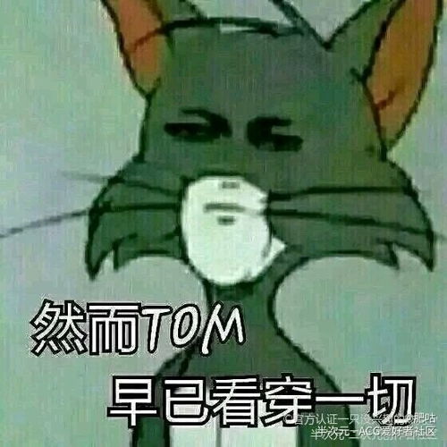 猫和老鼠表情包