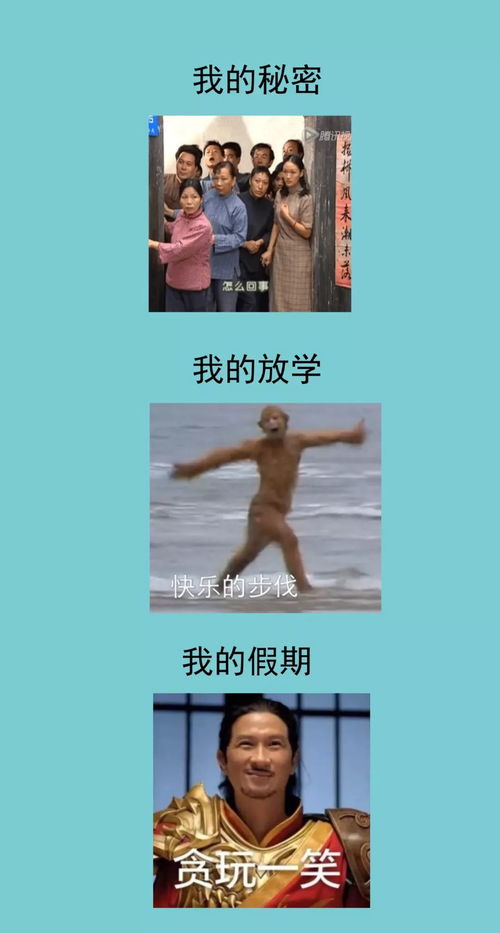 我的2019年终总结,活成了一套表情包
