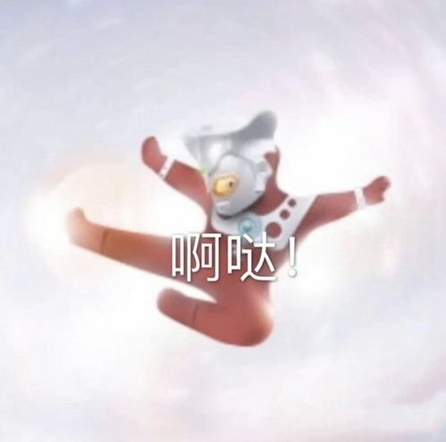 淘宝买东西不能自己买运费险了咋办