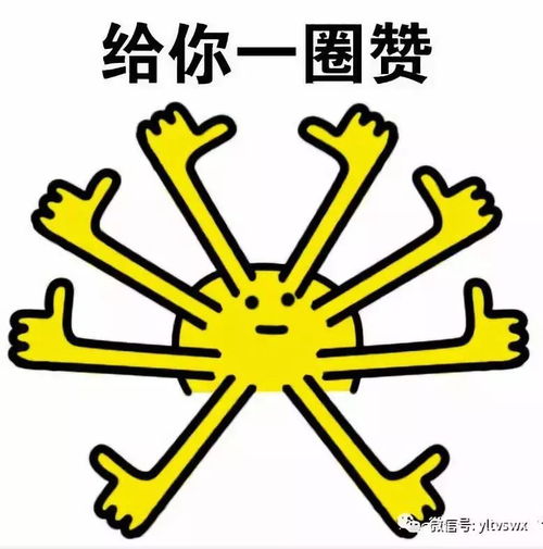 赞今年杨马再入全国锦标赛