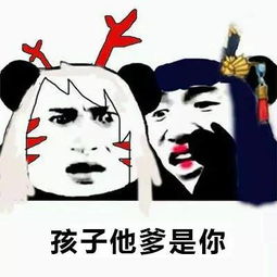 拼爹,深扒狗狗选美赛冠军狗背后的熊爸爸
