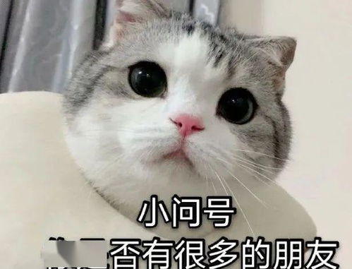 终于等到你绝地求生全新赛季吃鸡本体打半价