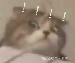 中国首个ai厨王诞生,苦练7吨菜网友机器人都比我会做饭