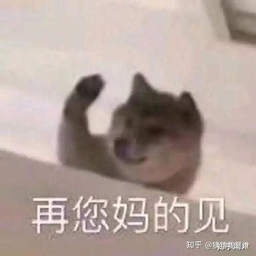 如何看待本田6月1日召回