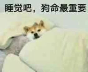 喝彩图片表情包图狗命
