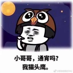 qwer视频直播全集qwer资料大全yy官方