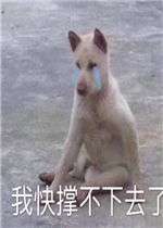 接受表情包图片奥特曼