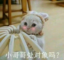 据说是史上最敷衍的一篇游记