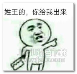 姓x的你给我出来表情图片姓x的你给我出来表情包完整版jz5u绿色下载站