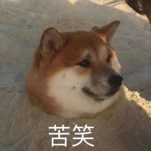 你是在跟我开玩笑吗假警察大型翻车现场