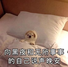 睡睡睡就知道睡表情包衣柜