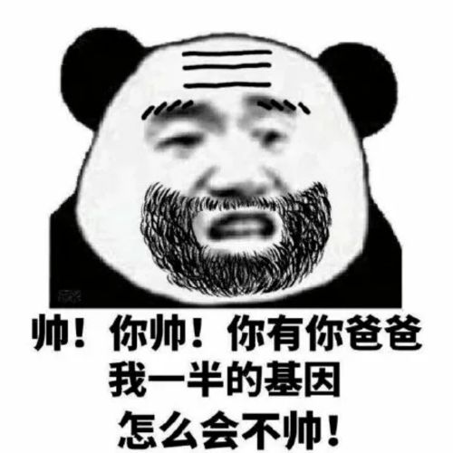 沙雕聊天群斗图大杀器,懂的进表情包
