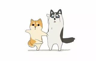 柴犬vs哈士奇论养了只表情包是什么感觉
