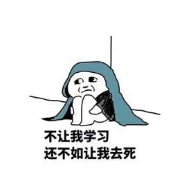 注会综合阶段备考攻略学会了直接等着拿证