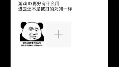 游戏id再好有什么用,进去还不是被打的死狗一样游戏王者荣耀表情包