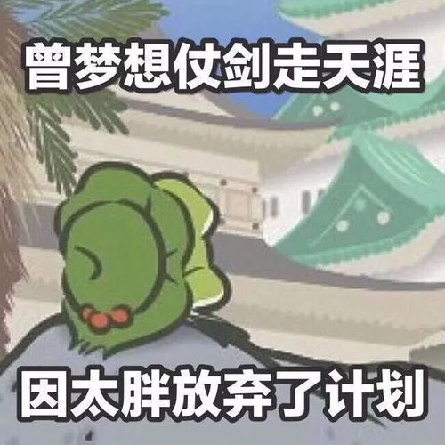 那你养我呀表情包忘了他