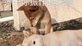 记录2020不一样的情人节