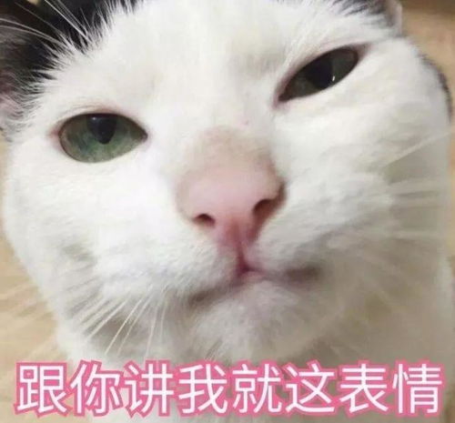 当全世界都在质疑她老公,她却依然选择相信