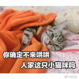 笙歌千年cos社的微博微博