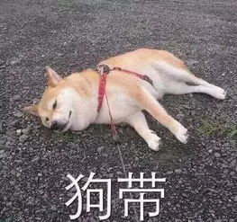 网购下单之前用它们最高可省50有本事你就别点