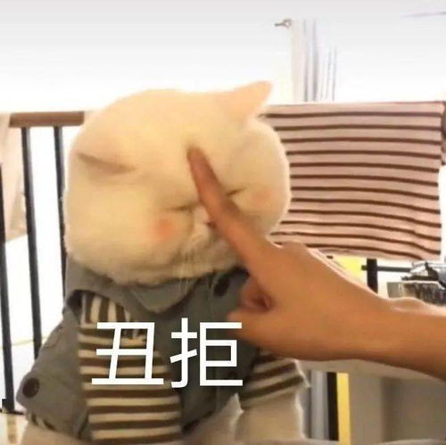 勾引,恰鸡不