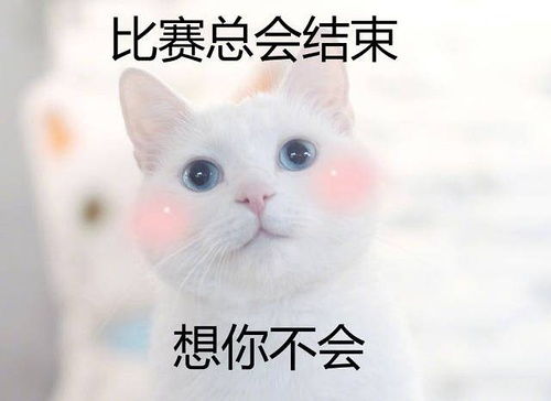 世界杯土情话,这球真甜

