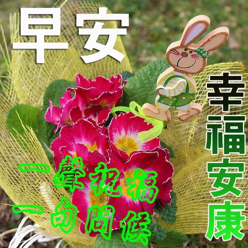 人生不易,珍惜拥有,感谢经历早上好祝福图片
