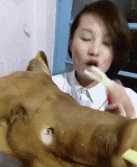 爆笑gif图愿你苦中作乐,愿你虽败犹荣