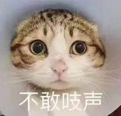 出来聊天吹牛表情包吱声