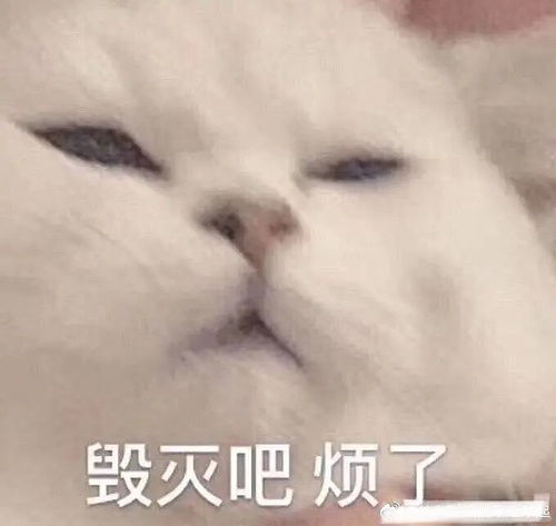 哈哈哈哈哈哈哈笑死我了笑死我了