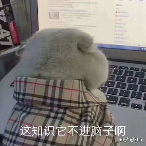 怎么找shopee虾皮的招商经理呢新手看