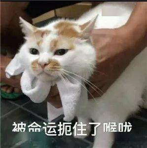 2020年二建报名提醒