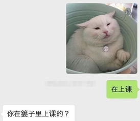 有一道无法逾越的鸿沟,叫爸妈的微信表情包.....