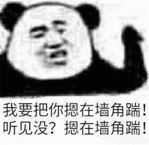 惹不起的表情包,看完全程,网友默默转走,十分感谢