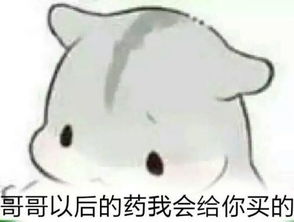 求qq里很萌的仓鼠表情包,太可爱了w
