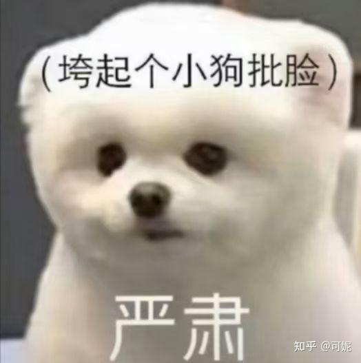 张蓝心成龙飞机干了什么呀