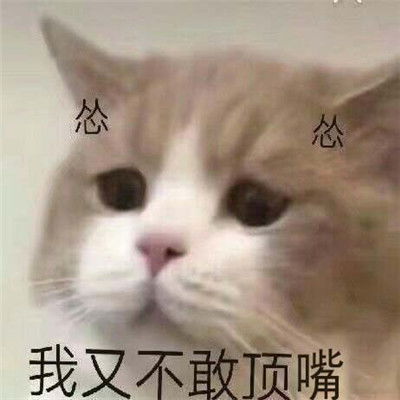 弱小可怜又无助的表情包
