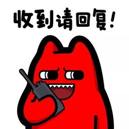 教你成为最会吃的东师青年,打卡净月二食堂
