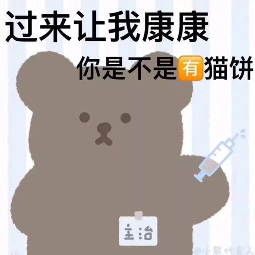 图片里的熊是叫什么啊