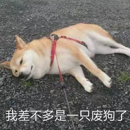 地表zui强秒杀价,完美解救剁手党