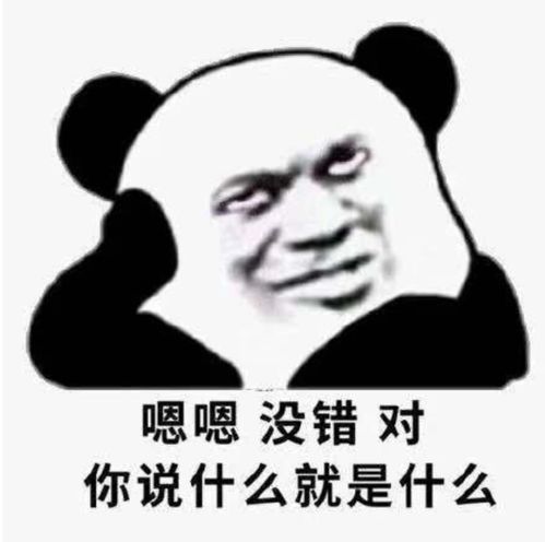 泰科宿舍居然长这样,网友都羡慕疯了