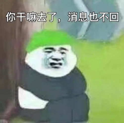 哈哈哈哈哈哈哈搞半天这些年我们听过的歌,歌词都这么没有逻辑啊