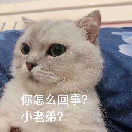 小老弟什么梗你太嫩太年轻撇一边站着