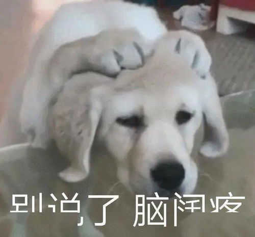 露华浓我破产了,我装的图片
