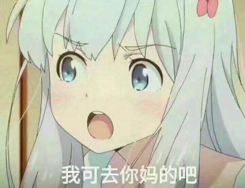 .收藏夹