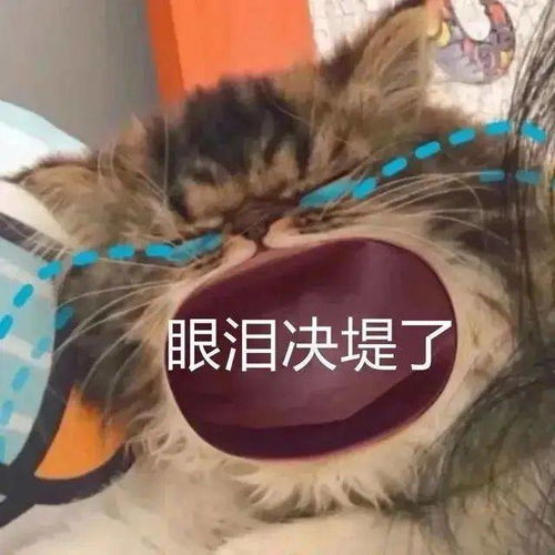 童年阴影时隔多年再复出比容嬷嬷更坏被当街扔鸡蛋